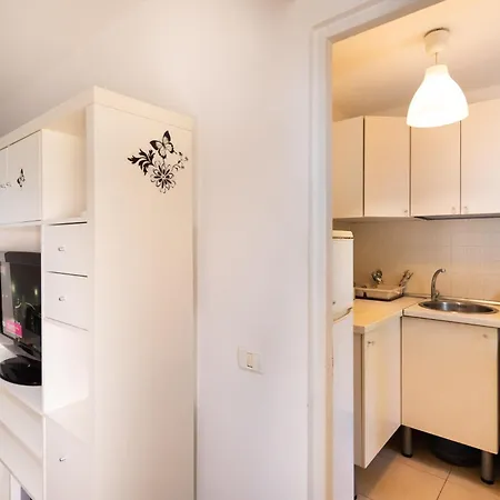 Apartament Ciresica